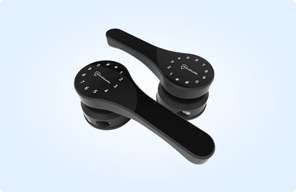 ASCOT Double Sided Gate Lock